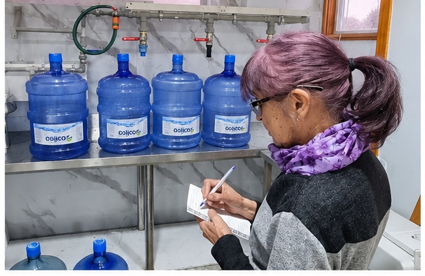 Historia familiar de Aguas Colico